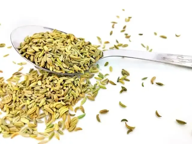 Fennel Seeds for Digestion