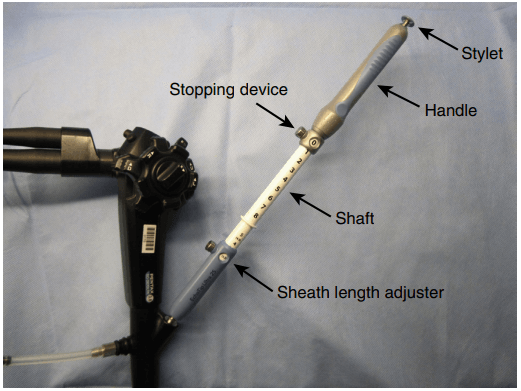 Endoscopic Ultrasonography-Guided Fine-Needle Aspiration: Best Practices and Techniques