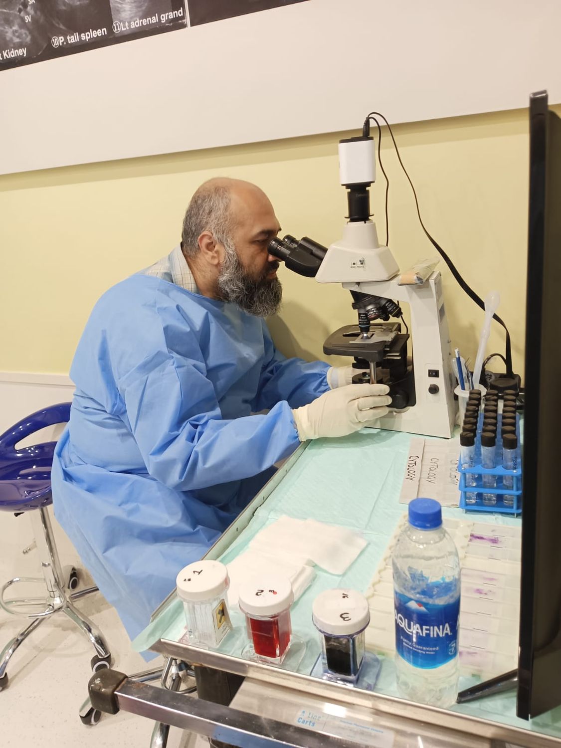 Dr Ali Taj looking at microscope performing cytology. 