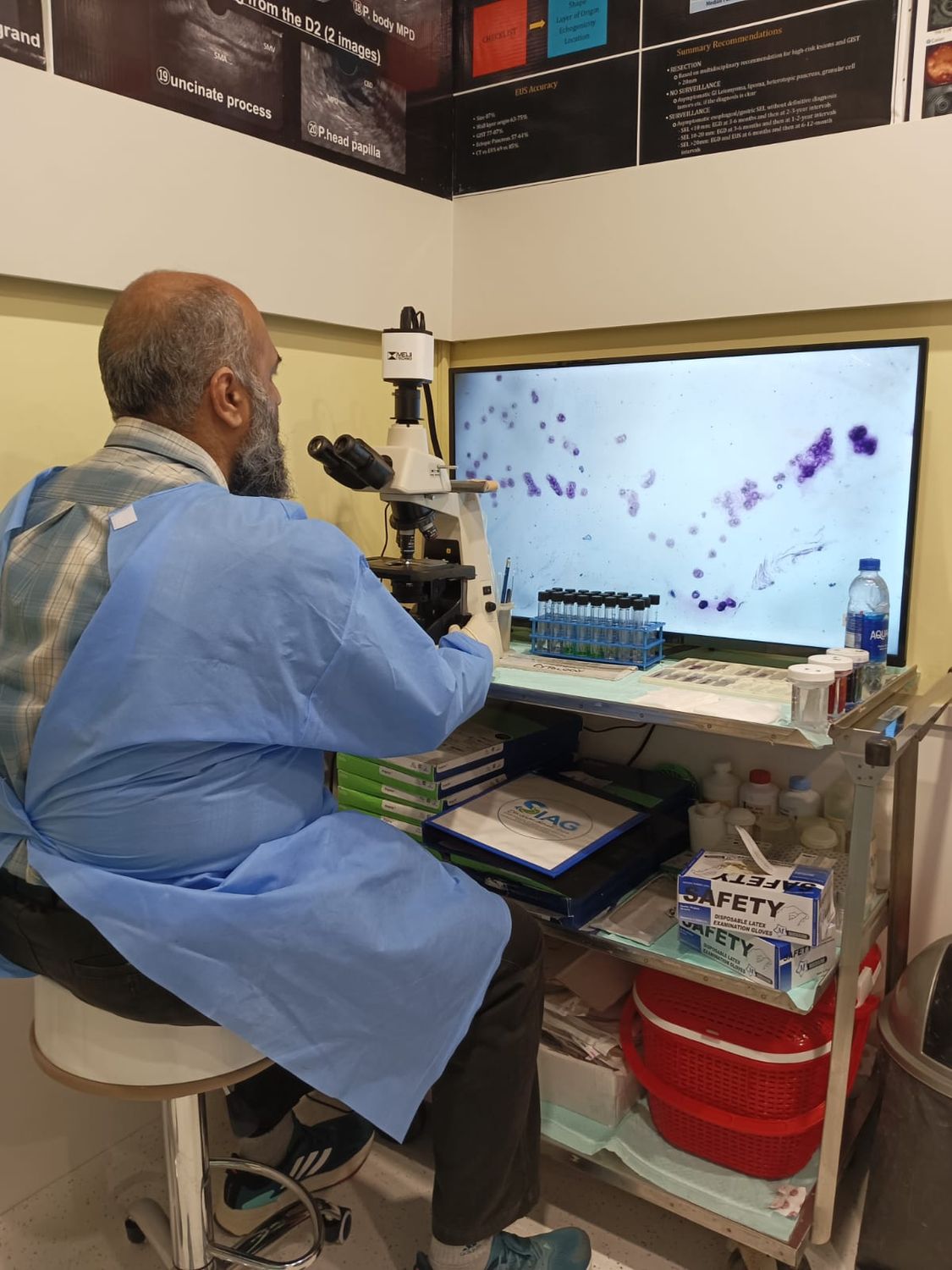 Dr Ali Taj screening for gastrointestinal pathology verification
