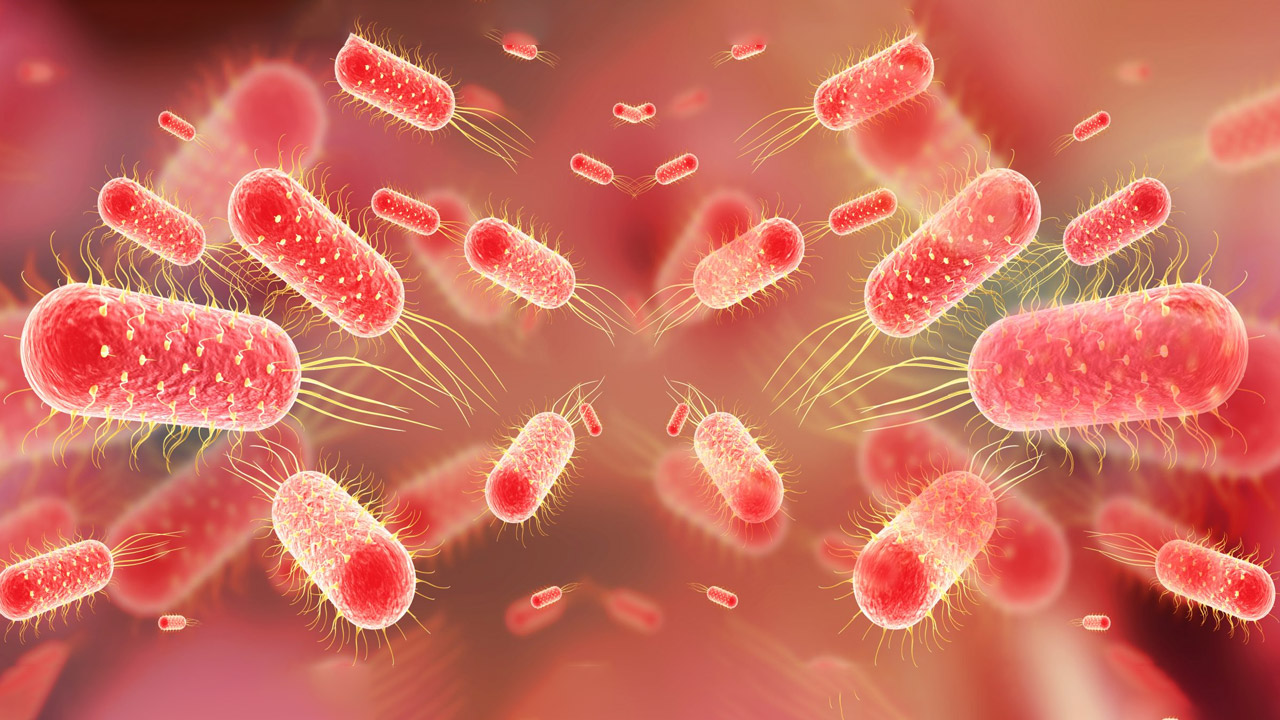 Typhoid Cholera Karachi - Pani Ki Bimari Ka Ilaj | Dr. Ali Taj