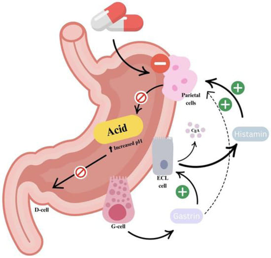 Histamine Driven Reflux Treatment | Dr. Ali Taj Karachi