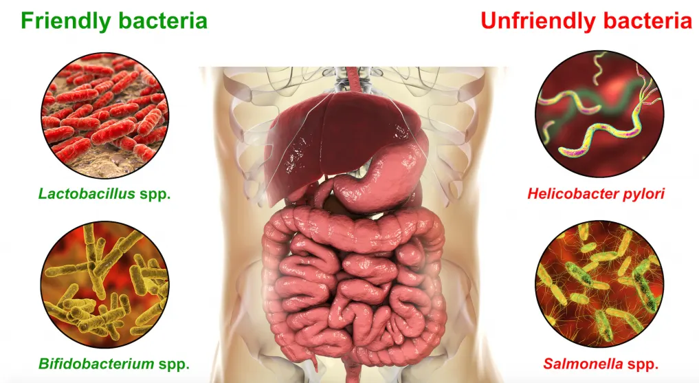 Microbial Reflux Treatment in Karachi | Dr. Ali Taj
